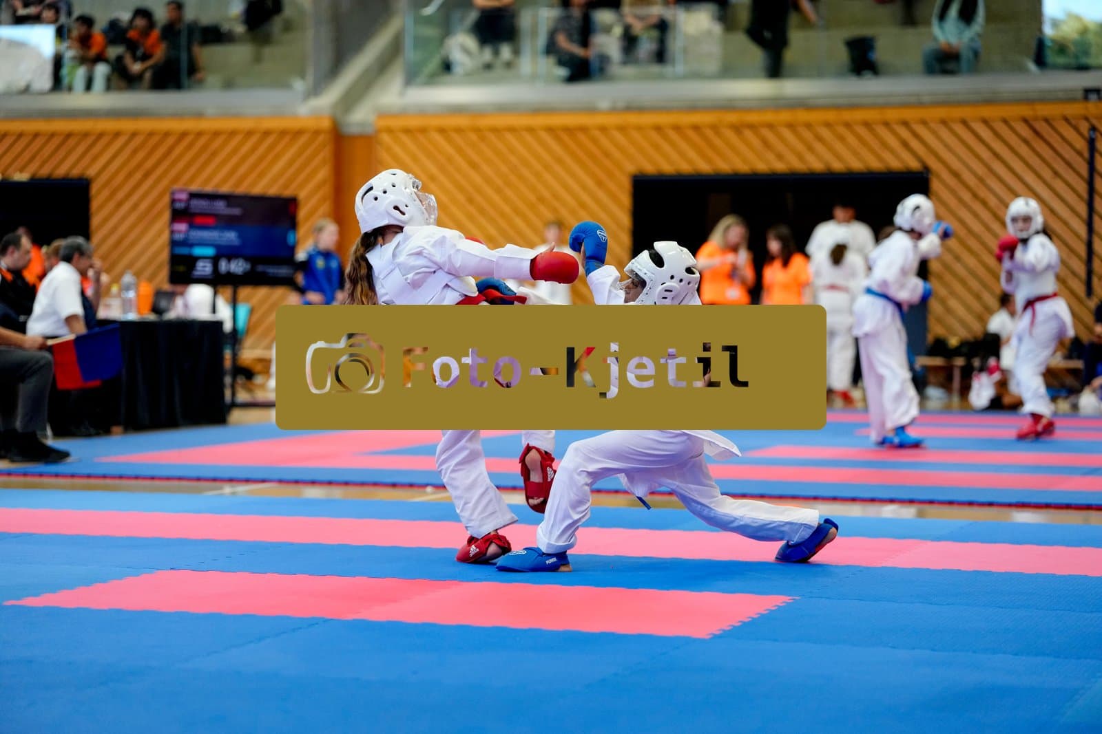 This photo was taken during the 2026 Karate 6. International Phoenix Cup 2026 in Seon - Schweiz.