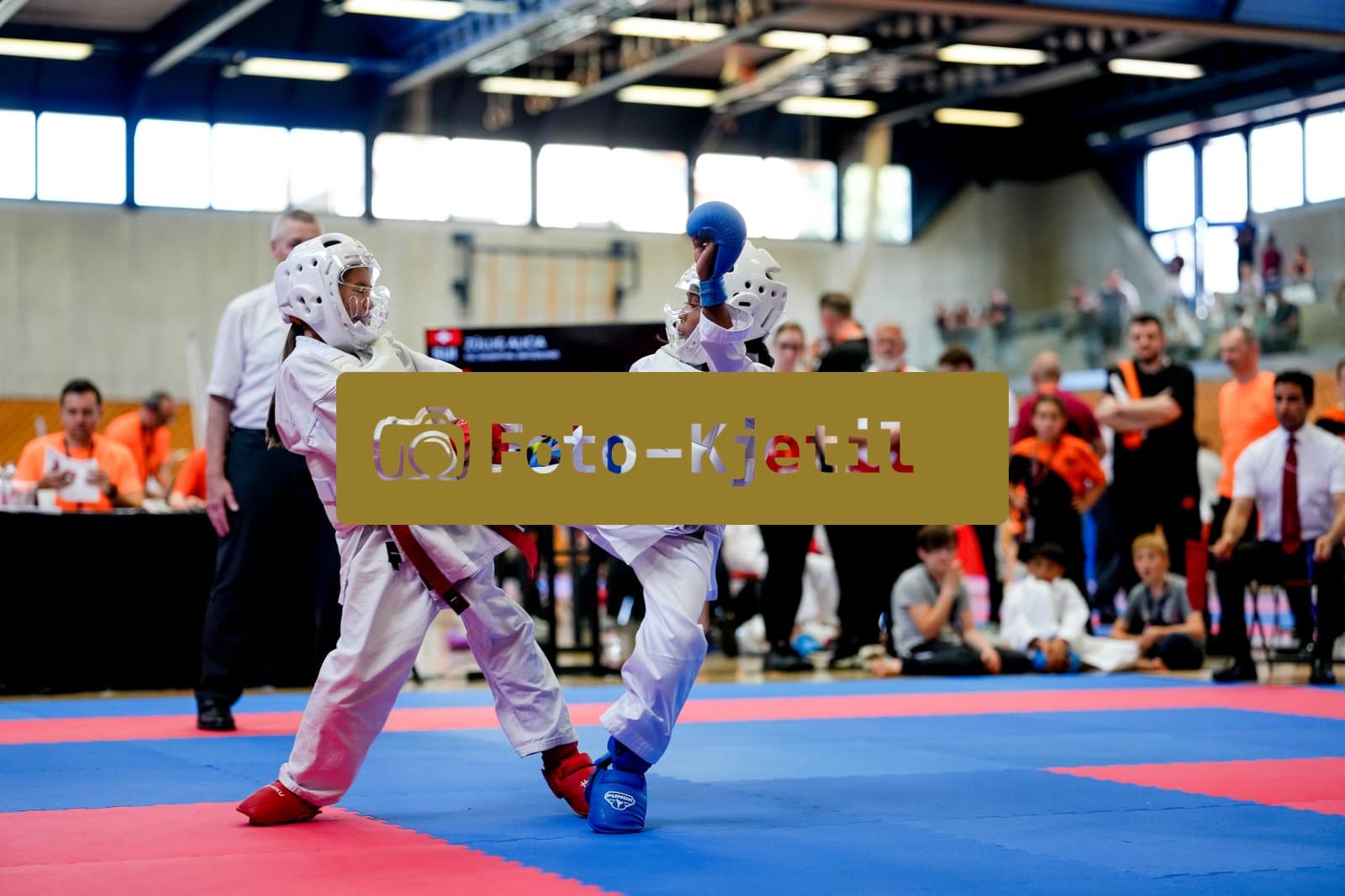 This photo was taken during the 2026 Karate 6. International Phoenix Cup 2026 in Seon - Schweiz.