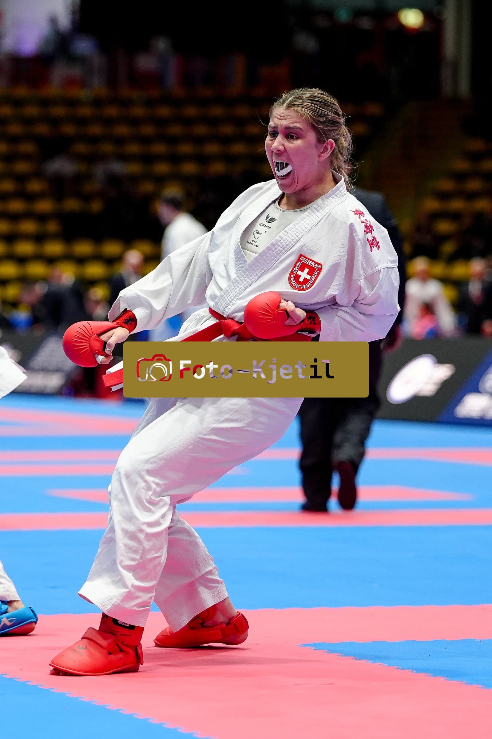 This photo was taken during the 2026 Karate EKF Senior Championships Frankfurt in Frankfurt am Main - Deutschland.