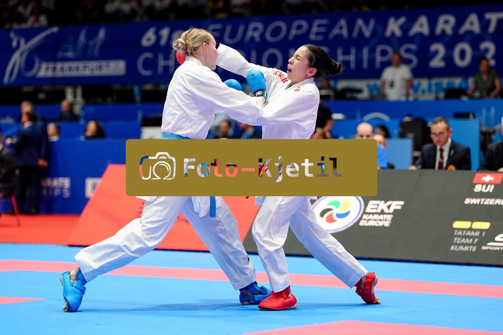 This photo was taken during the 2026 Karate EKF Senior Championships Frankfurt in Frankfurt am Main - Deutschland.