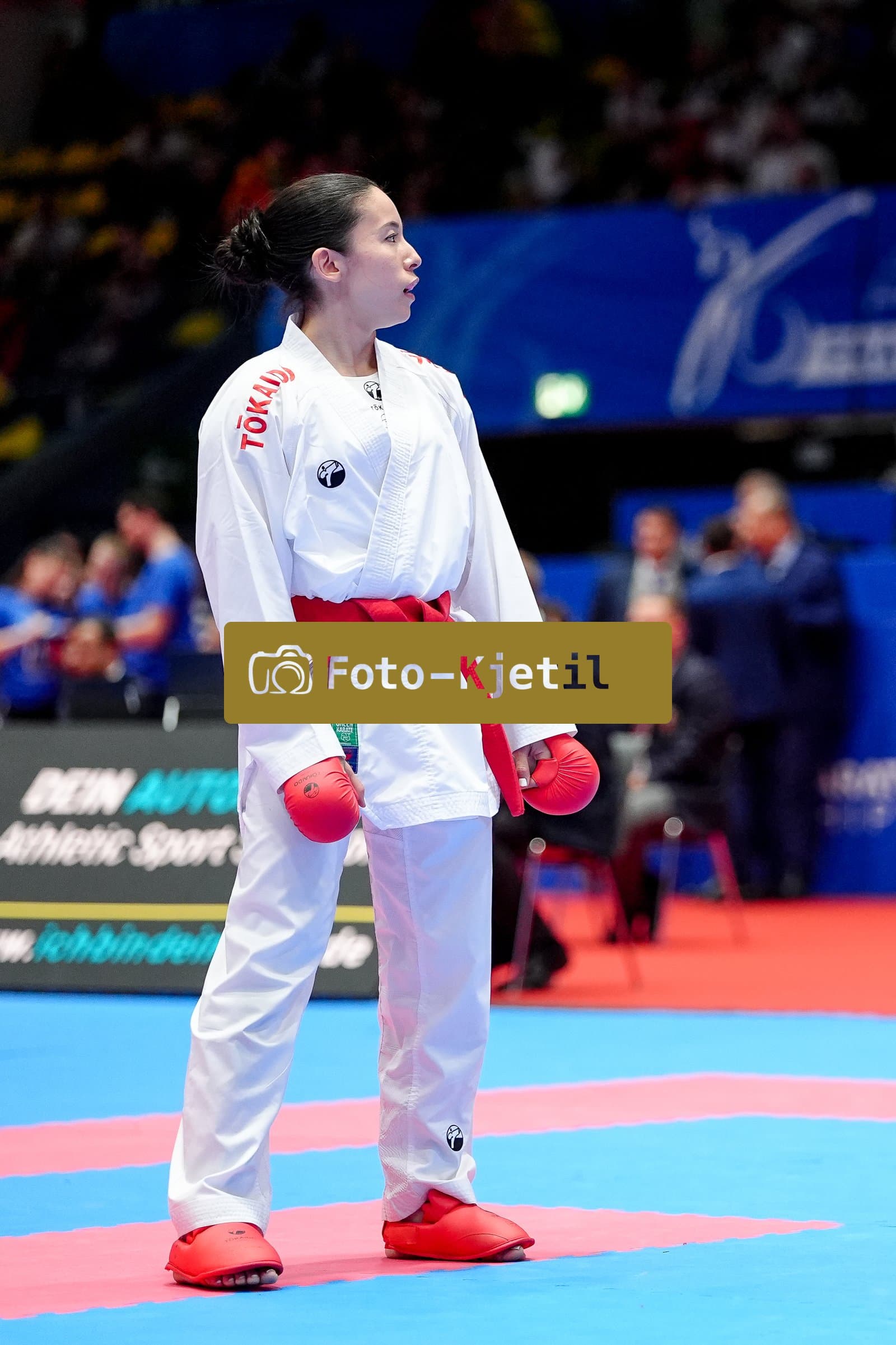 This photo was taken during the 2026 Karate EKF Senior Championships Frankfurt in Frankfurt am Main - Deutschland.
