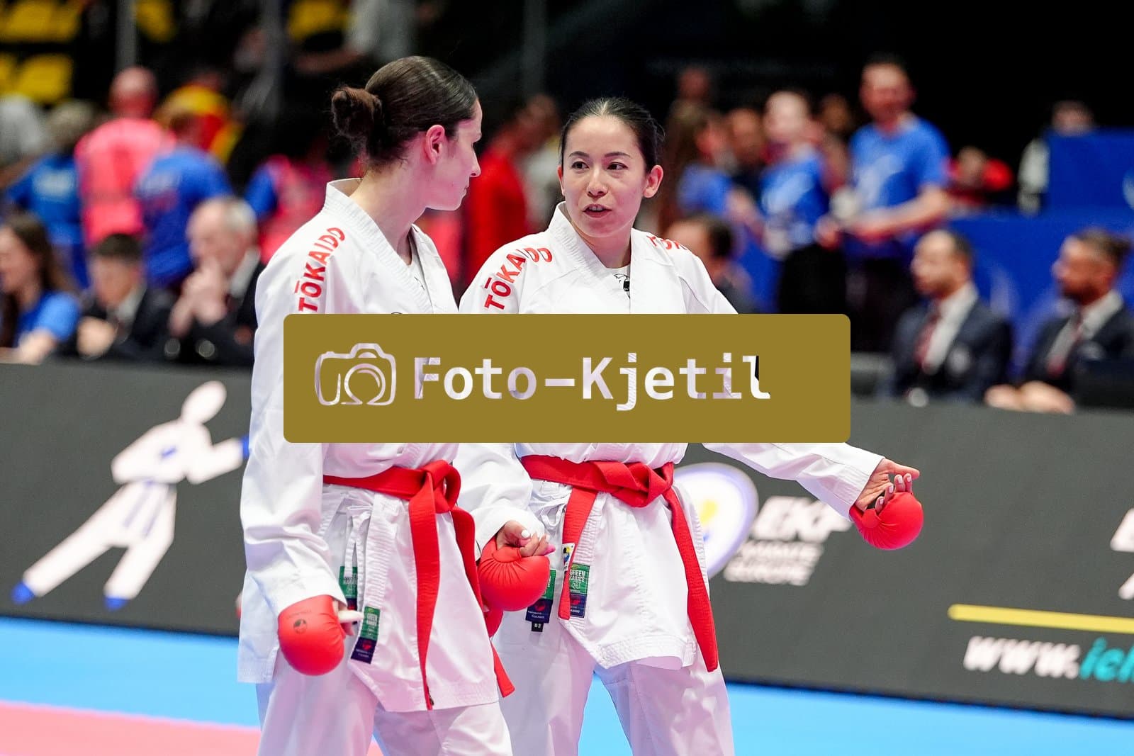 This photo was taken during the 2026 Karate EKF Senior Championships Frankfurt in Frankfurt am Main - Deutschland.