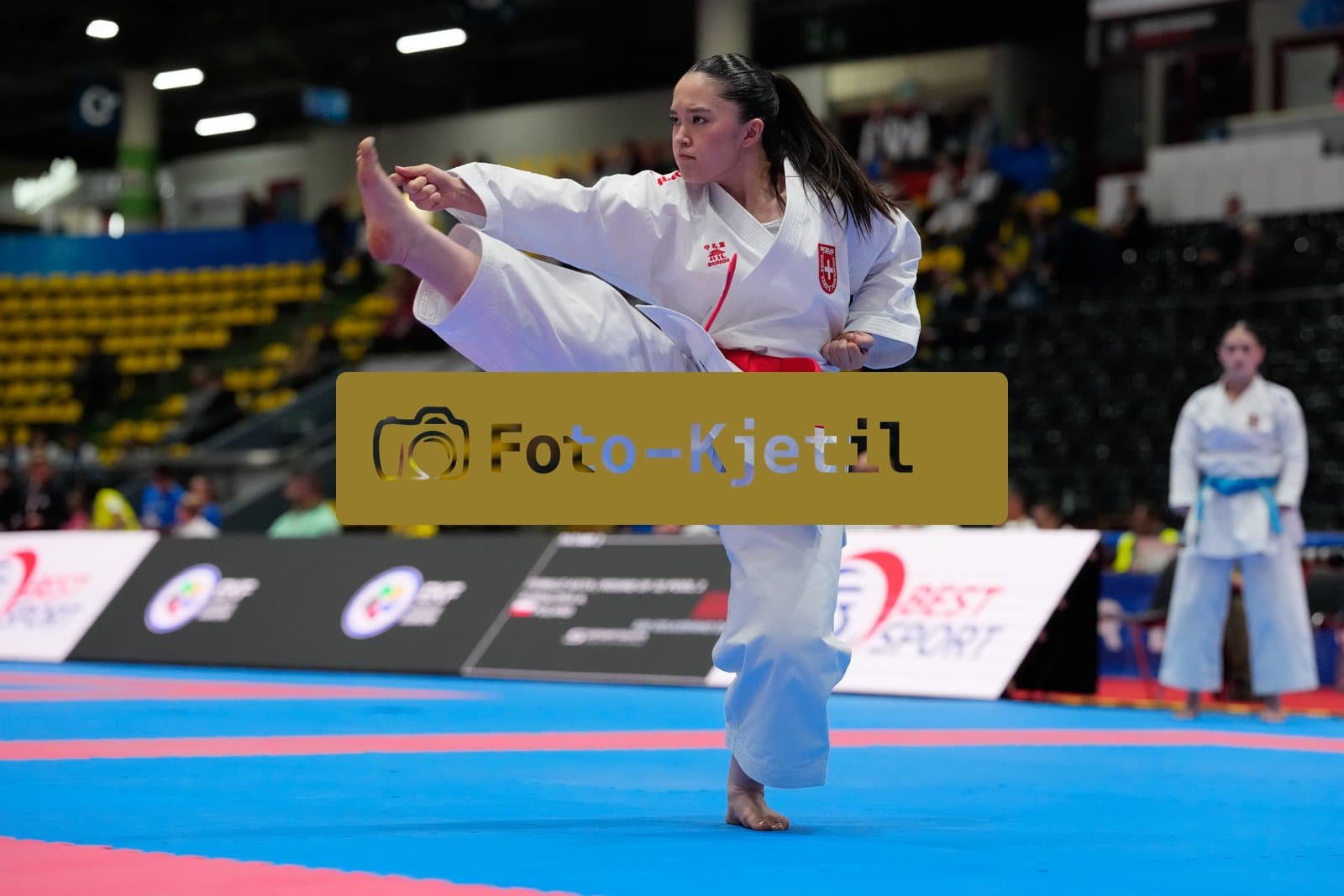 This photo was taken during the 2026 Karate EKF Senior Championships Frankfurt in Frankfurt am Main - Deutschland.