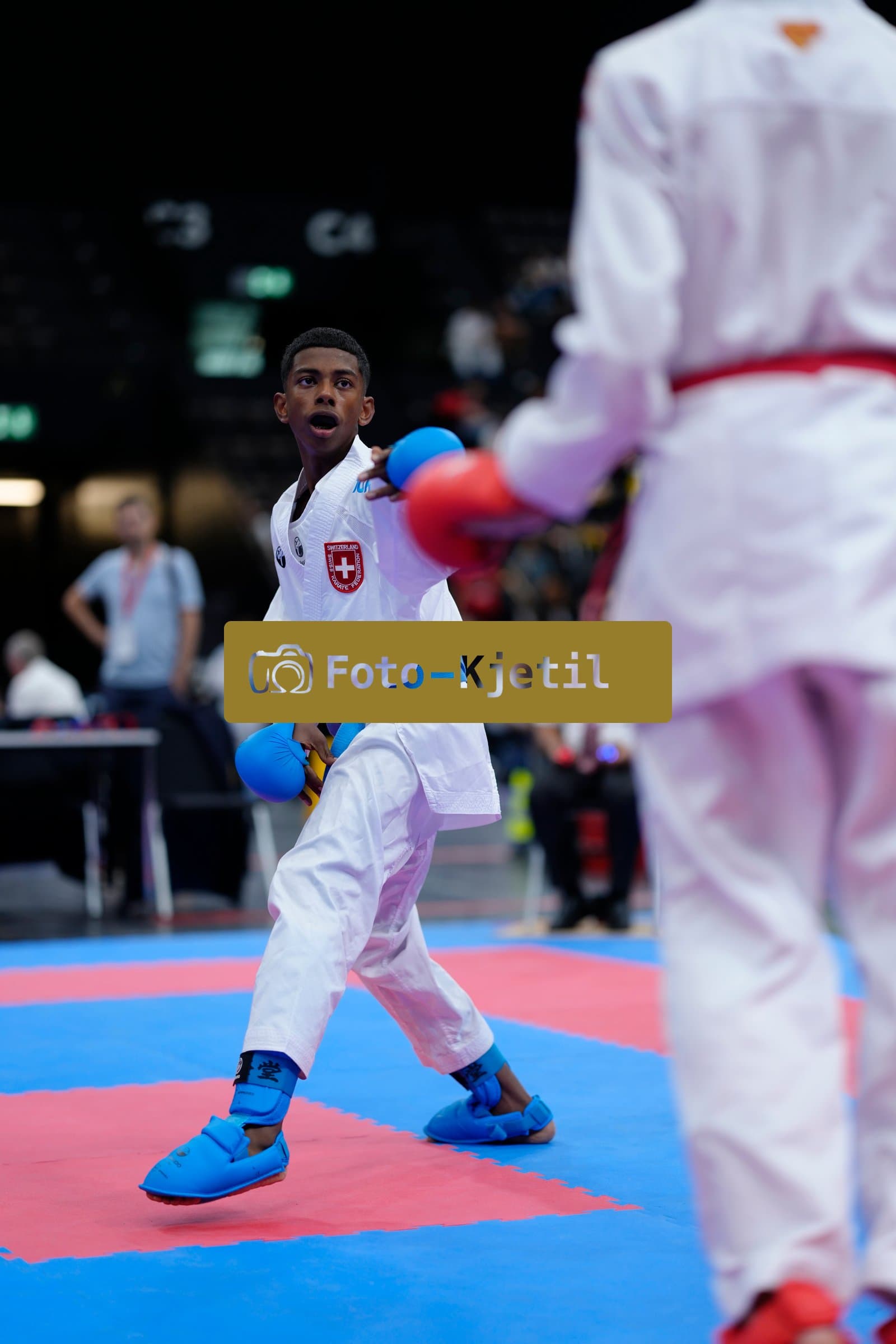 This photo was taken during the 2026 Karate International Basel Open Masters 2026 in Basel - Schweiz.