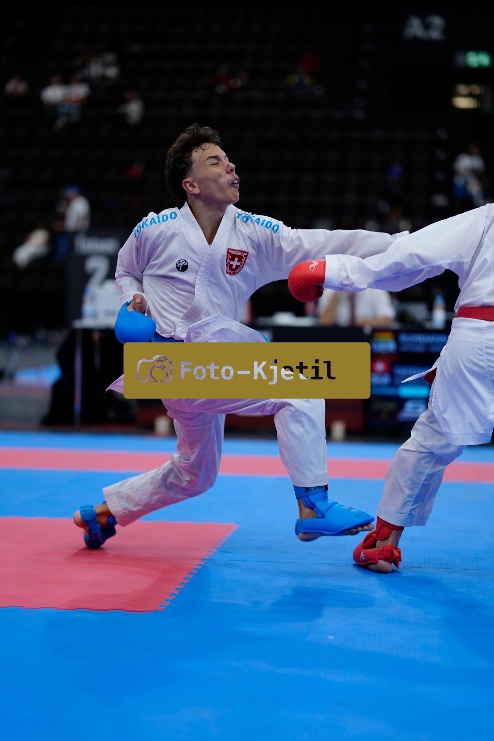 This photo was taken during the 2026 Karate International Basel Open Masters 2026 in Basel - Schweiz.