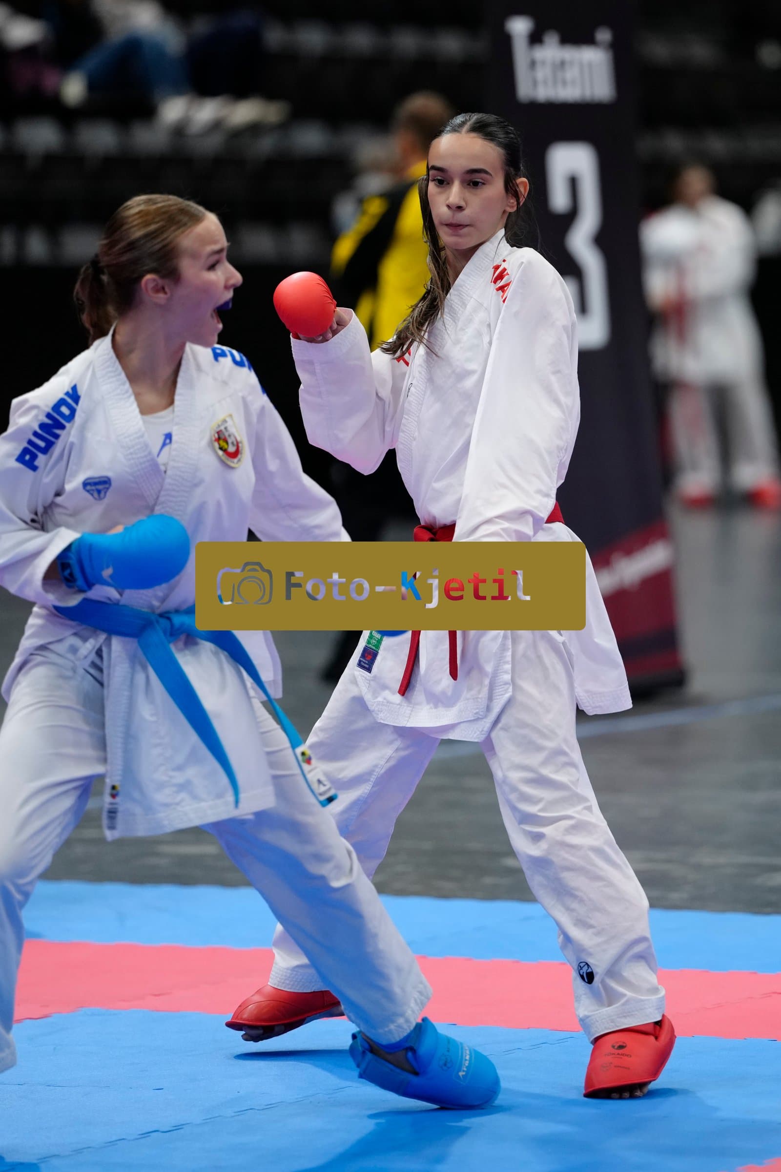 This photo was taken during the 2026 Karate International Basel Open Masters 2026 in Basel - Schweiz.