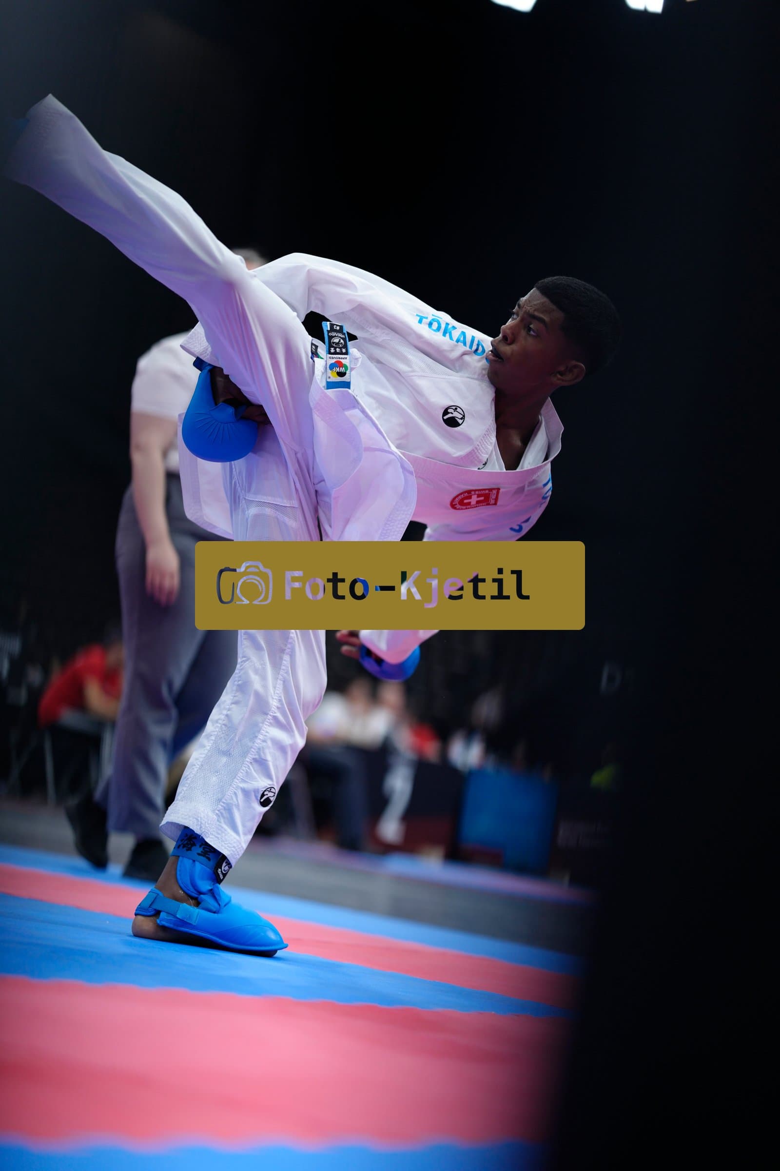This photo was taken during the 2026 Karate International Basel Open Masters 2026 in Basel - Schweiz.