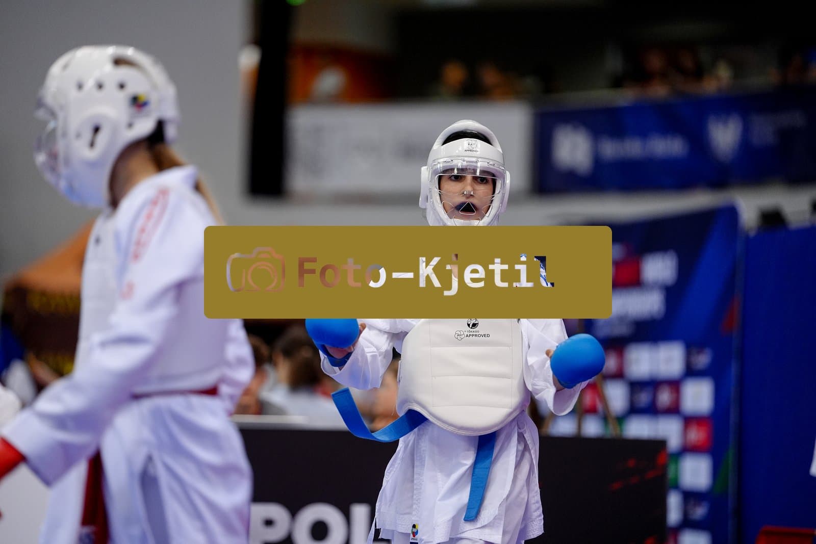 This photo was taken during the 2026 Karate POLISH OPEN 2026 in Bielsko-Biala - Poland.
