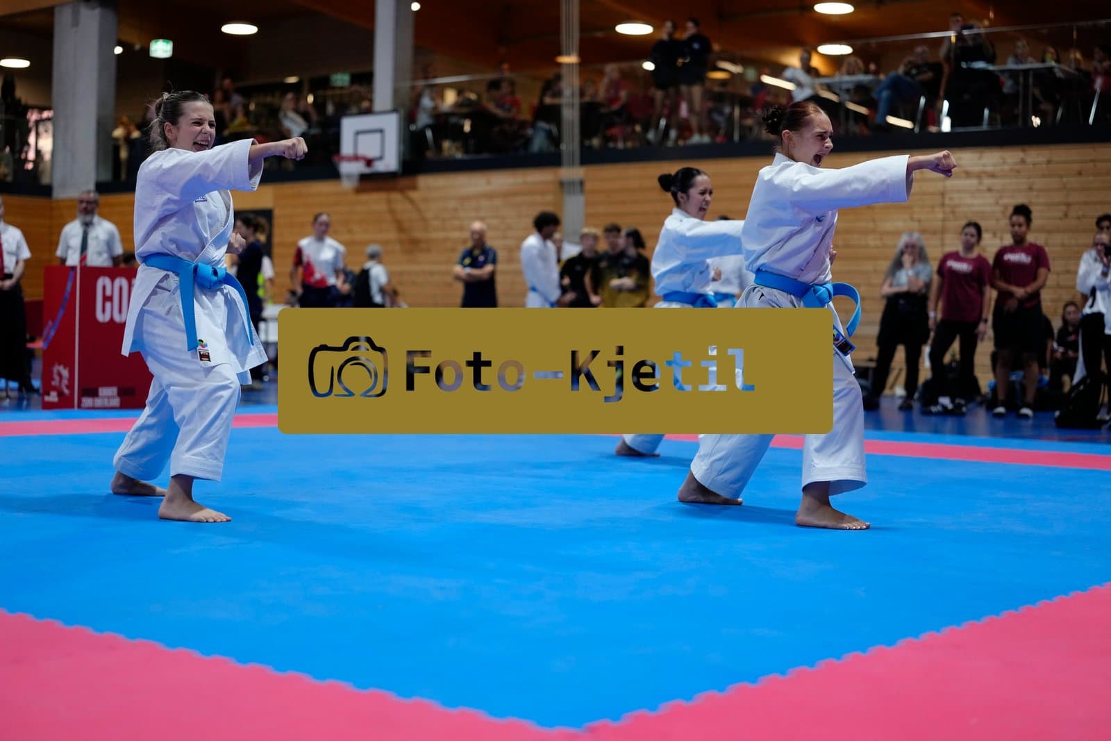 This photo was taken during the 2026 Karate Swiss Karate League Züri-Oberland – Gossau in Gossau - Schweiz.