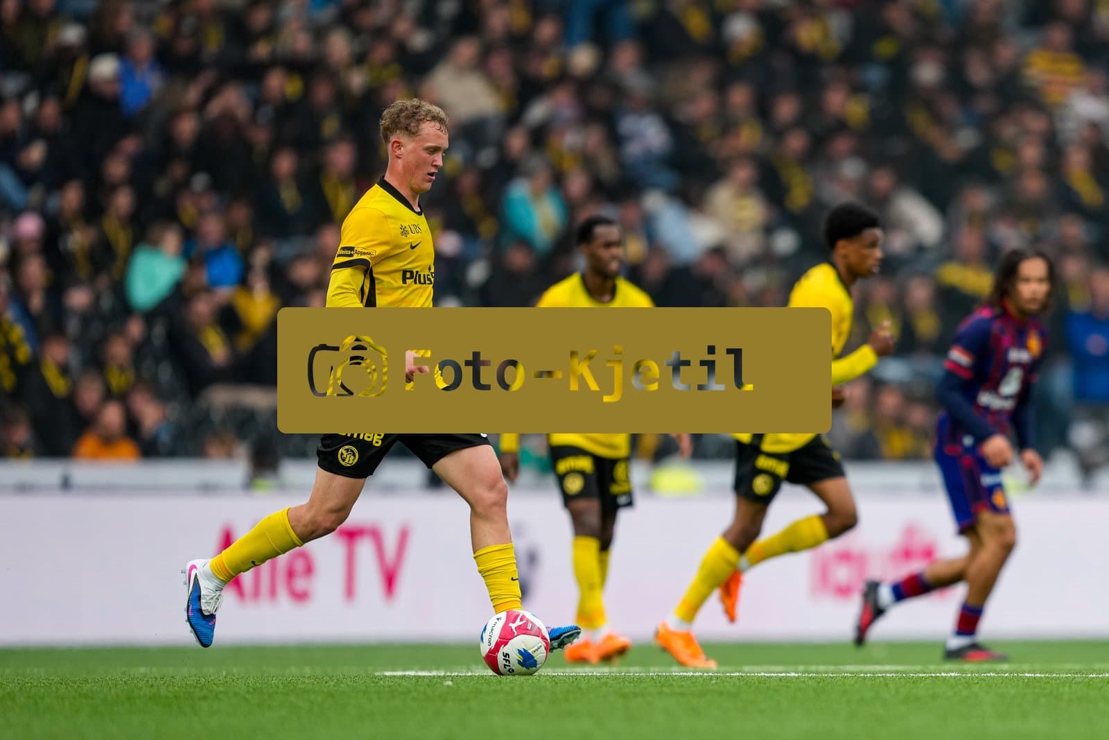 Schweiz: Brack Super League 2025/26, BSC Young Boys vs FC Basel 1893 - Wankdorf Stadion, Bern: Dominik Pech (13 YB)