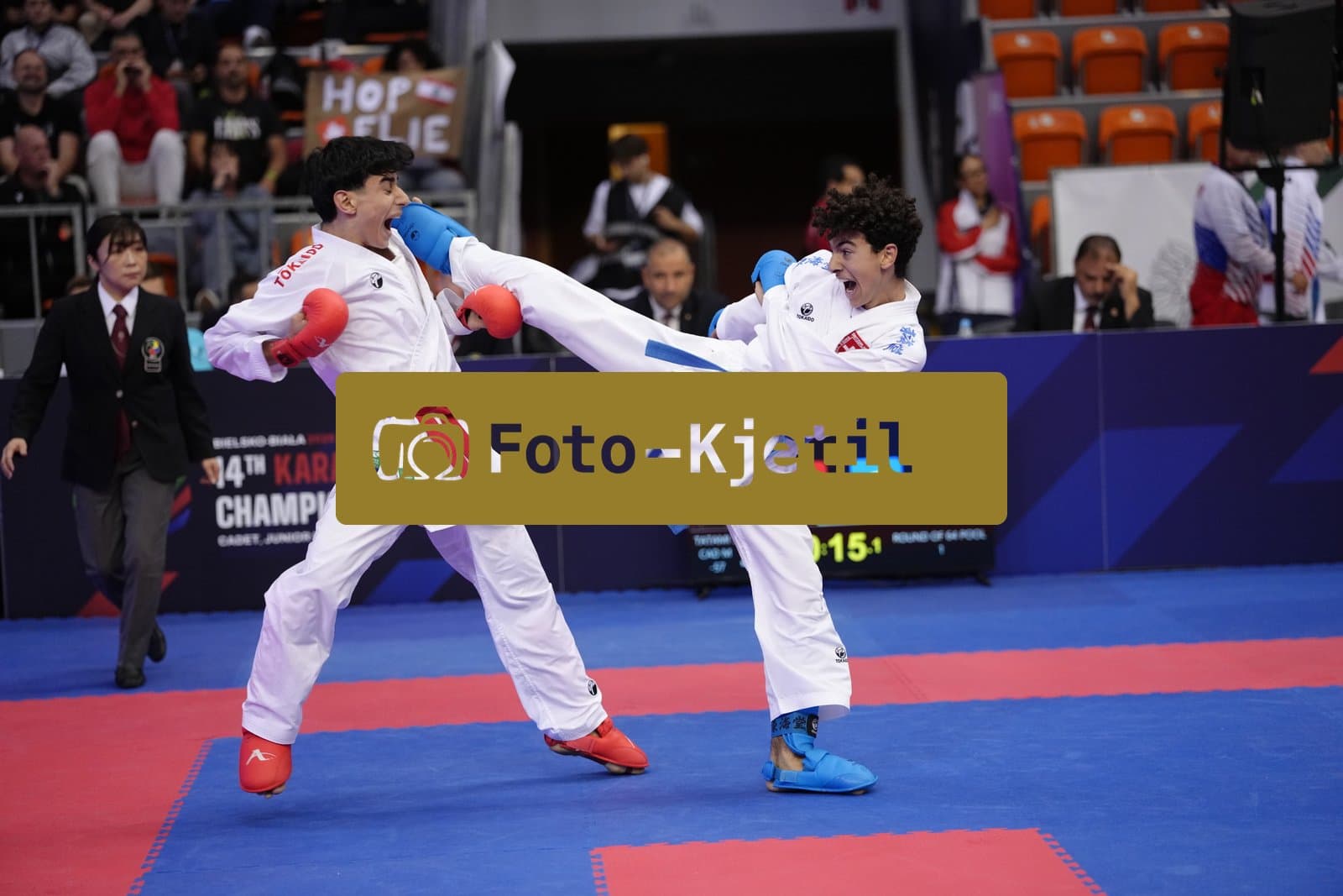 BIELSKO-BIALA, POLAND - OCTOBER 16: This photo was taken during the 2026 World Cadet, Junior & U21 Karate Championships at Hala Pod Debowcem on October 16, 2026 in Bielsko-Biala, Poland.