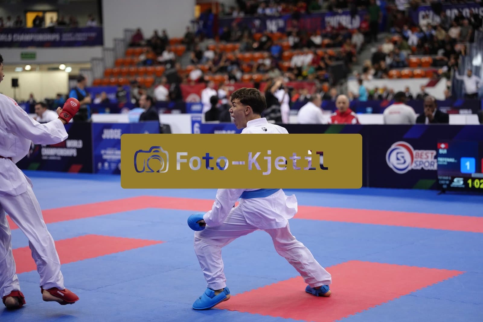 BIELSKO-BIALA, POLAND - OCTOBER 16: This photo was taken during the 2026 World Cadet, Junior & U21 Karate Championships at Hala Pod Debowcem on October 16, 2026 in Bielsko-Biala, Poland.