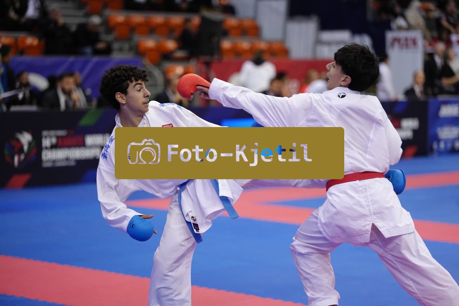 BIELSKO-BIALA, POLAND - OCTOBER 16: This photo was taken during the 2026 World Cadet, Junior & U21 Karate Championships at Hala Pod Debowcem on October 16, 2026 in Bielsko-Biala, Poland.