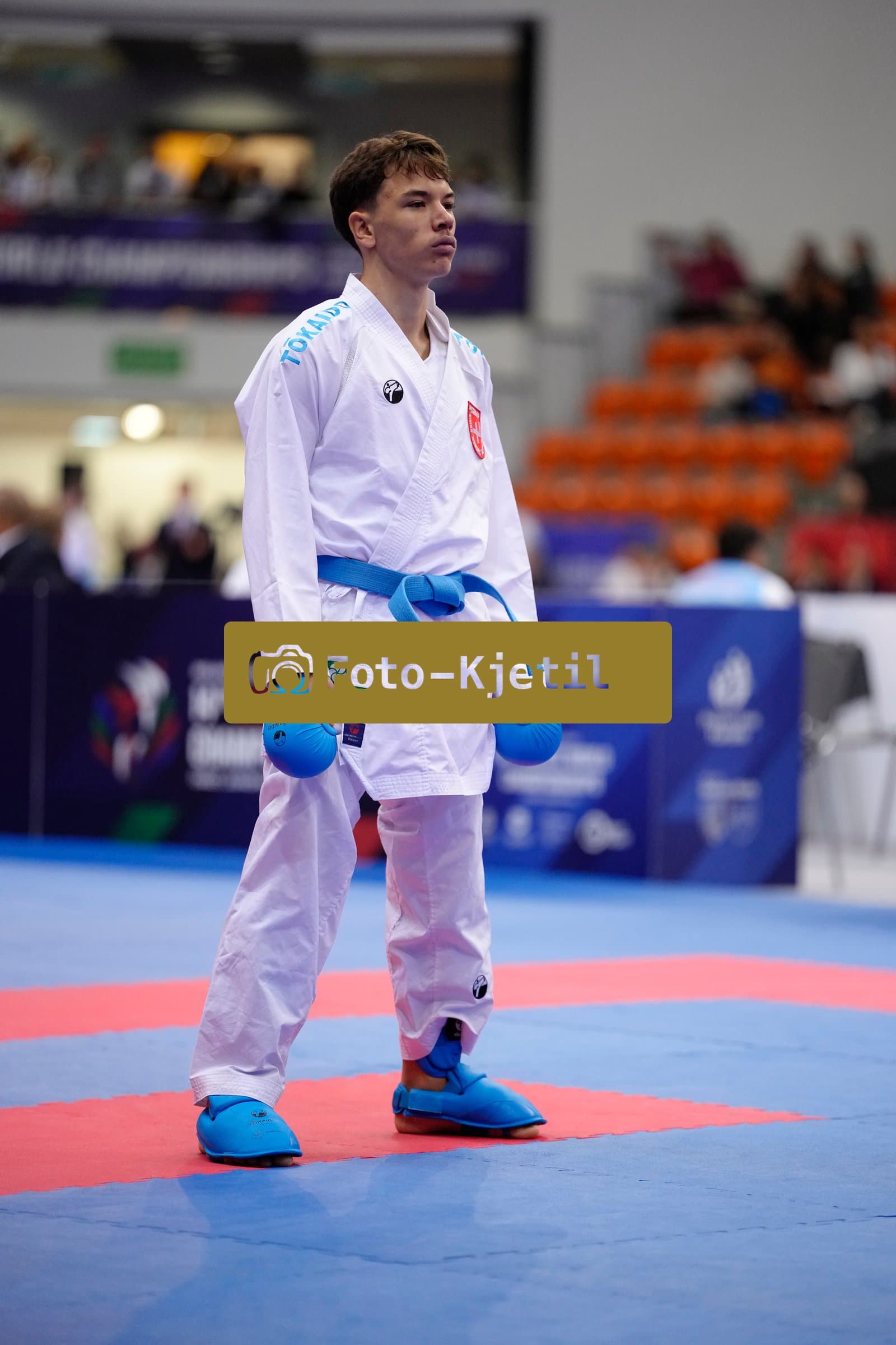 BIELSKO-BIALA, POLAND - OCTOBER 16: This photo was taken during the 2026 World Cadet, Junior & U21 Karate Championships at Hala Pod Debowcem on October 16, 2026 in Bielsko-Biala, Poland.