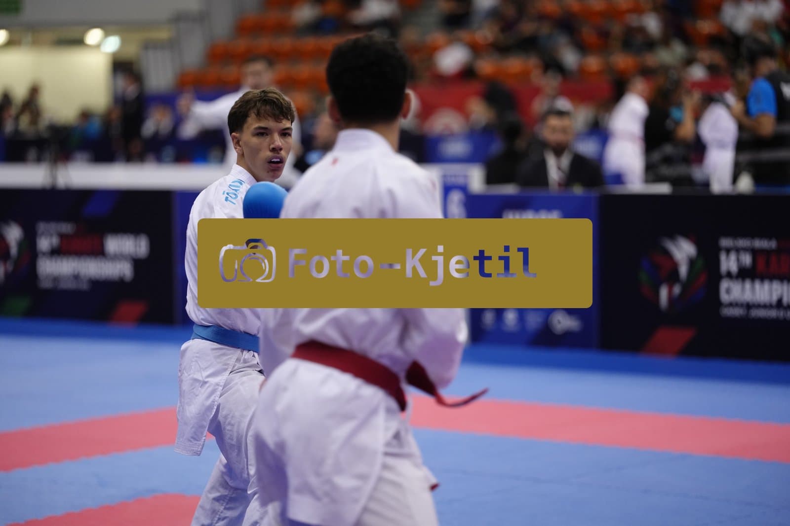 BIELSKO-BIALA, POLAND - OCTOBER 16: This photo was taken during the 2026 World Cadet, Junior & U21 Karate Championships at Hala Pod Debowcem on October 16, 2026 in Bielsko-Biala, Poland.