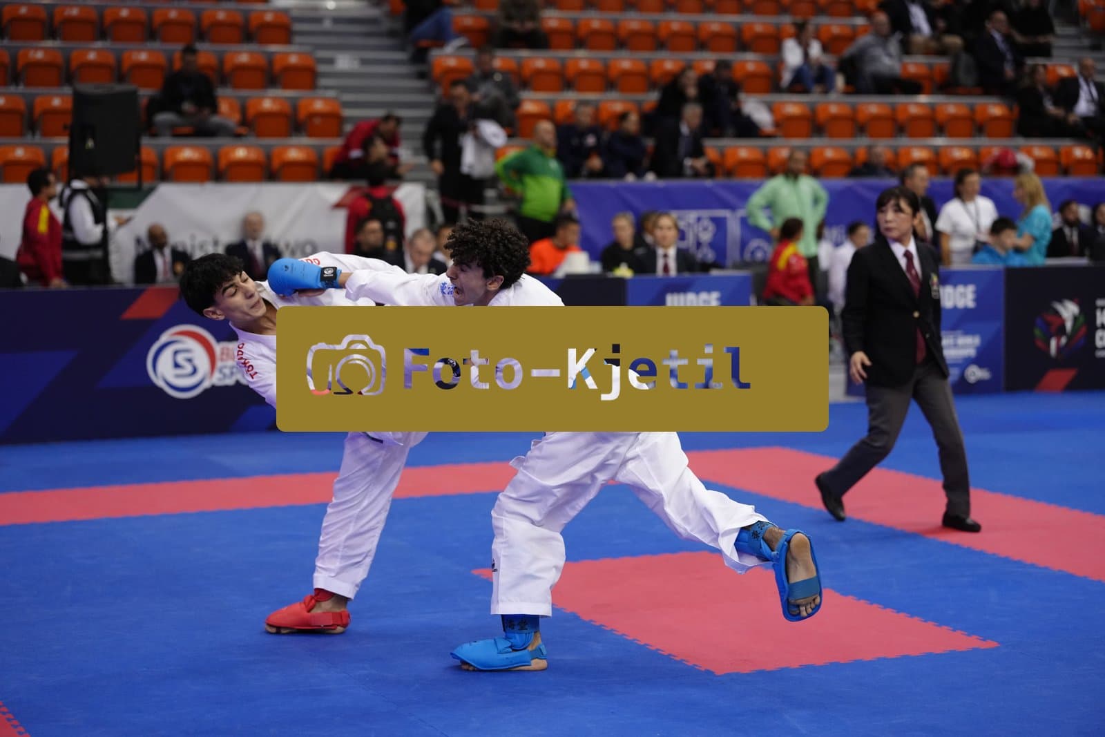 BIELSKO-BIALA, POLAND - OCTOBER 16: This photo was taken during the 2026 World Cadet, Junior & U21 Karate Championships at Hala Pod Debowcem on October 16, 2026 in Bielsko-Biala, Poland.