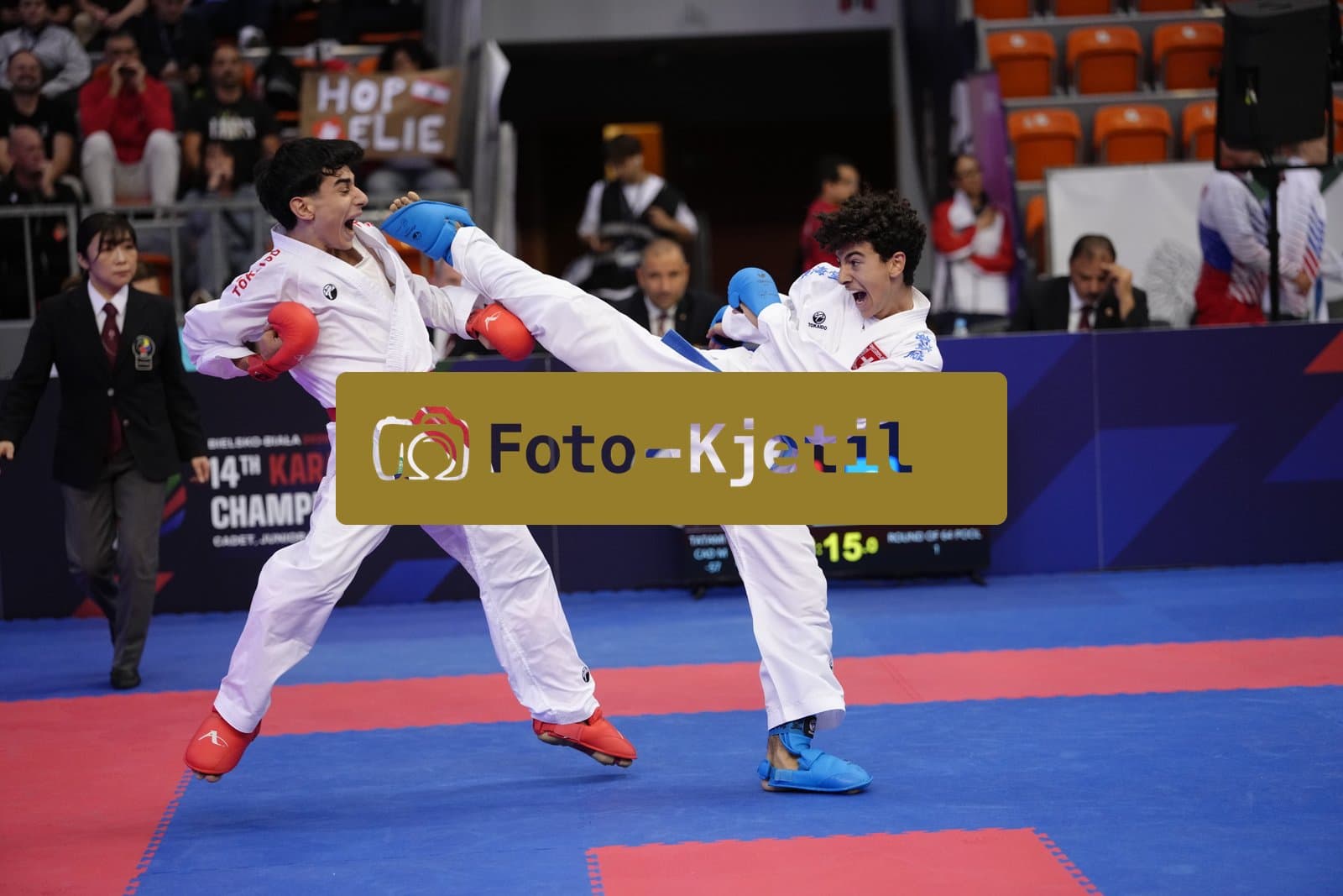 BIELSKO-BIALA, POLAND - OCTOBER 16: This photo was taken during the 2026 World Cadet, Junior & U21 Karate Championships at Hala Pod Debowcem on October 16, 2026 in Bielsko-Biala, Poland.