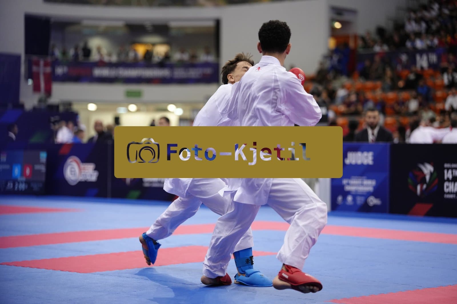BIELSKO-BIALA, POLAND - OCTOBER 16: This photo was taken during the 2026 World Cadet, Junior & U21 Karate Championships at Hala Pod Debowcem on October 16, 2026 in Bielsko-Biala, Poland.