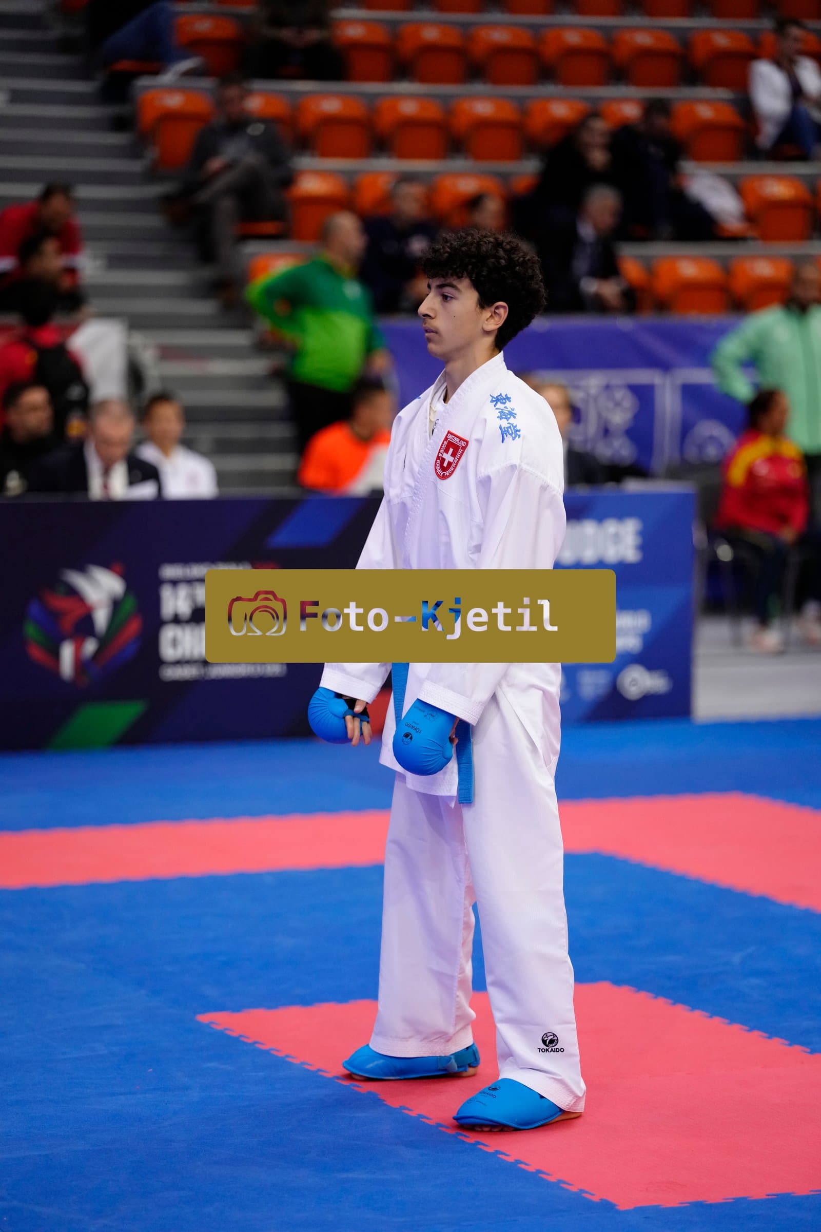 BIELSKO-BIALA, POLAND - OCTOBER 16: This photo was taken during the 2026 World Cadet, Junior & U21 Karate Championships at Hala Pod Debowcem on October 16, 2026 in Bielsko-Biala, Poland.