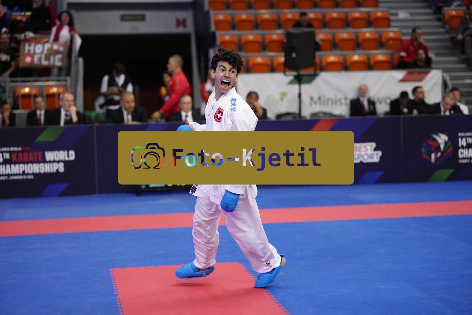 BIELSKO-BIALA, POLAND - OCTOBER 16: This photo was taken during the 2026 World Cadet, Junior & U21 Karate Championships at Hala Pod Debowcem on October 16, 2026 in Bielsko-Biala, Poland.