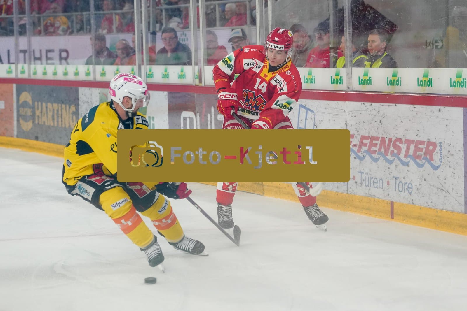 Schweiz: National League Play-In Runde 1, Spiel 1 2025/26, EHC Biel-Bienne vs SC Bern - Tissot Arena, Biel-Bienne: Niklas Blessing (14 EHCB) in Aktion gegen Tristan Scherwey (10 SCB)