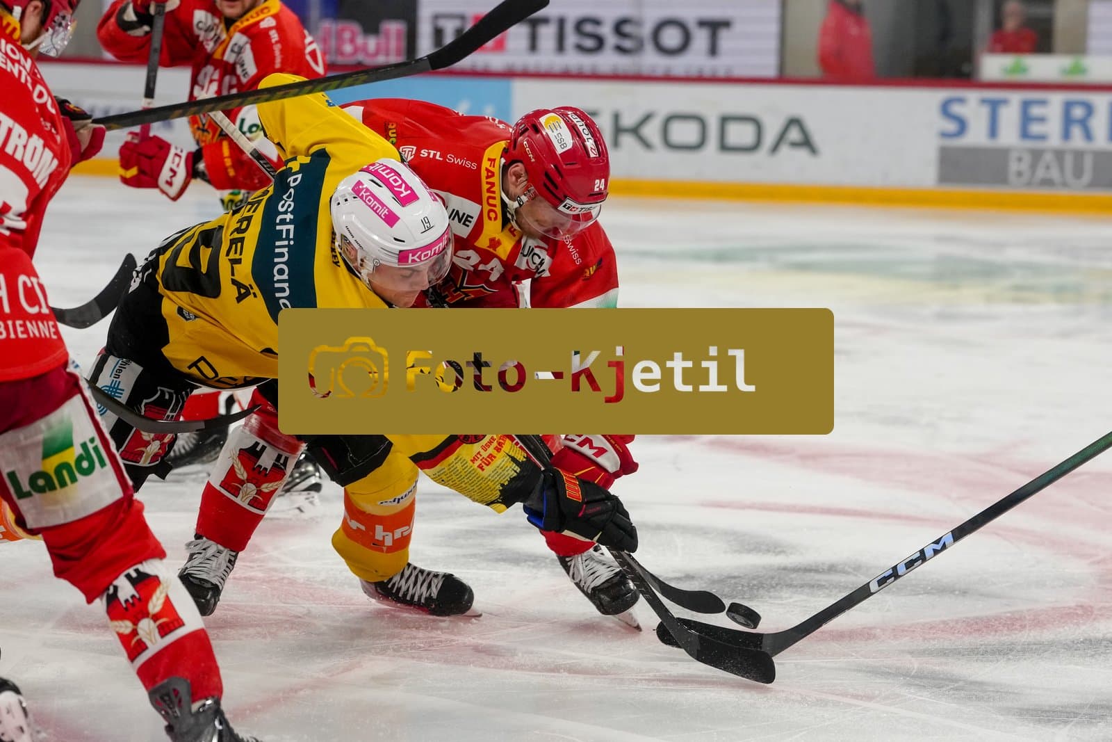 Schweiz: National League Play-In Runde 1, Spiel 1 2025/26, EHC Biel-Bienne vs SC Bern - Tissot Arena, Biel-Bienne: Waltteri Merelä - Waltteri Merela (19 SCB) im Duell mit Lias Andersson (24 EHCB)