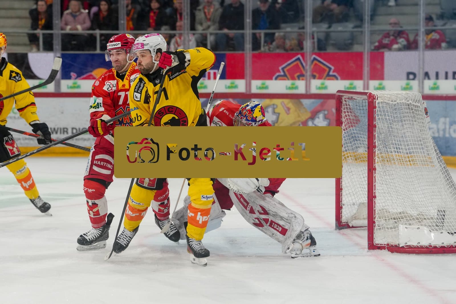 Schweiz: National League Play-In Runde 1, Spiel 1 2025/26, EHC Biel-Bienne vs SC Bern - Tissot Arena, Biel-Bienne: Emil Bemström - Emil Bemstrom (71 SCB) in Aktion vor Torhüter Harri Säteri - Harri Sateri (35 EHCB) und Yanik Burren (71 EHCB) während dem Tor von Romain Loeffel (58 SCB)