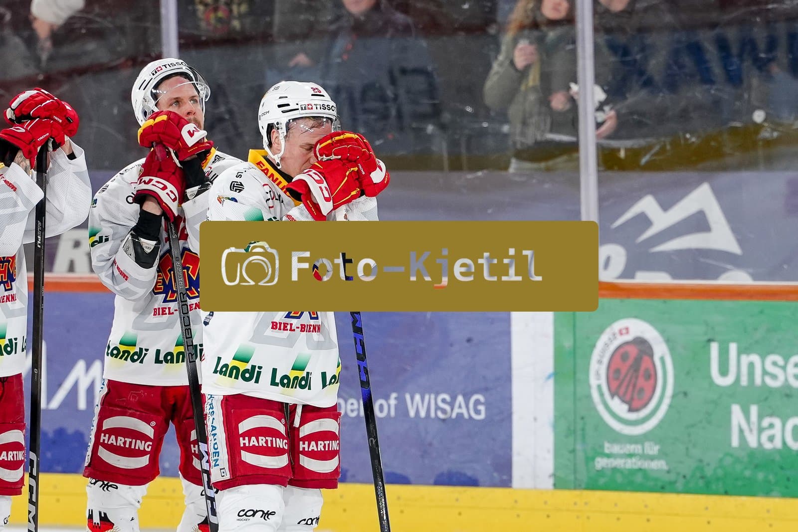 Schweiz: National League Play-In Runde 1, Spiel 2 2025/26, SC Bern vs EHC Biel-Bienne - PostFinance Arena, Bern: Toni Rajala (25 EHCB) und Gaetan Haas (92 EHCB) enttäuscht nach der Niederlage gegen den SC Bern und somit dem Ausscheiden der Playoff und somit dem Saisonende