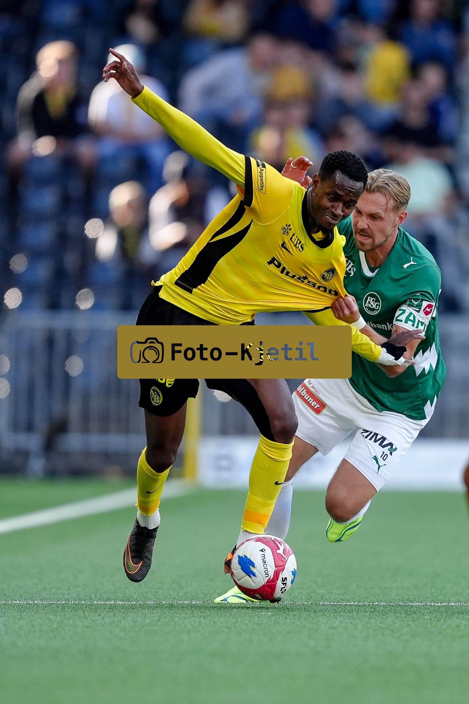 Schweiz: Super League 2025 - 2026, BSC Young Boys vs FC St. Gallen - Stadion Wankdorf, Bern: Lukas Daschner (10 St. Gallen) gegen Edimilson Fernandes (6 Young Boys)