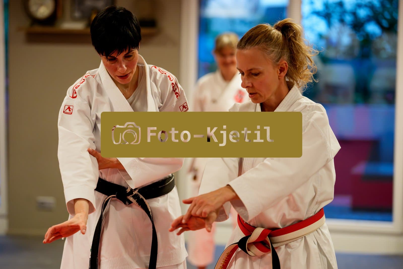 This photo was taken during the Training in the Zen Shin Biel-Bienne - Schweiz.